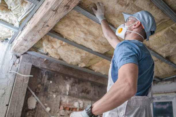 Best Residential Insulation in San Rafael, CA